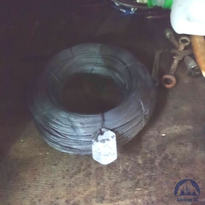 Проволока круглая 0,34-П-2-55 ГОСТ 3875-83 купить в Красноярске
