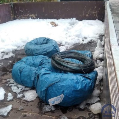 Проволока круглая 0,32-1-Л-55 ГОСТ 3875-83 купить в Красноярске